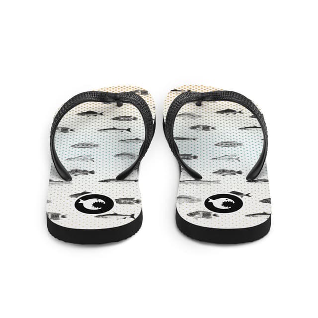 Flip-Flops | Fishes