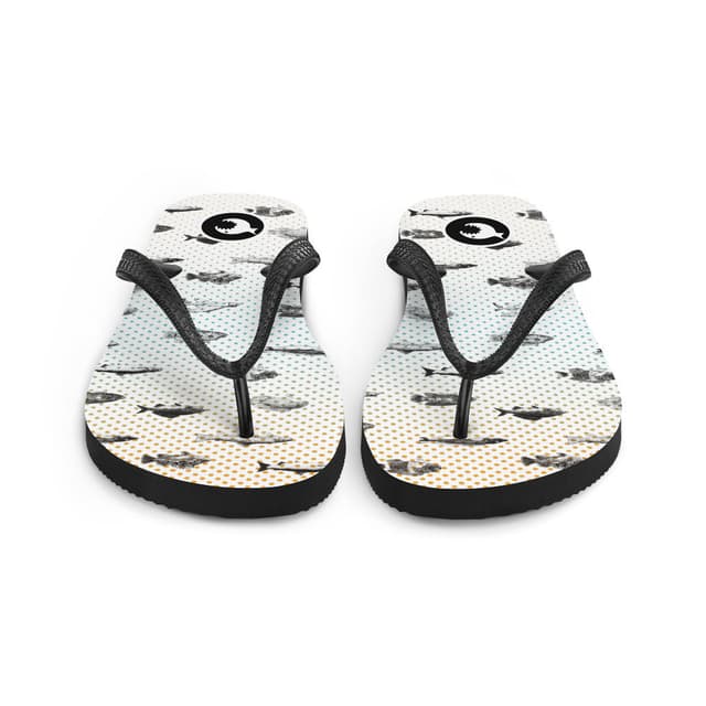 Flip-Flops | Fishes