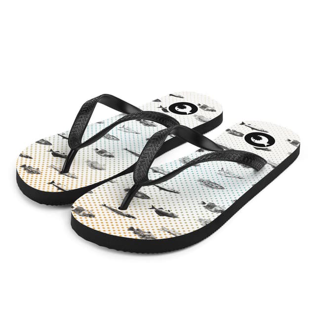 Flip-Flops | Fishes