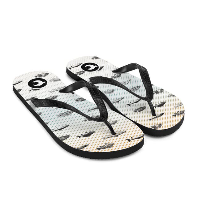 Flip-Flops | Fishes