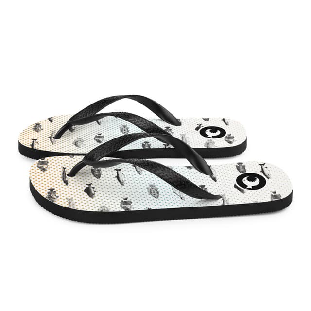 Flip-Flops | Fishes