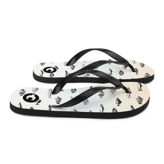 Flip-Flops | Fishes