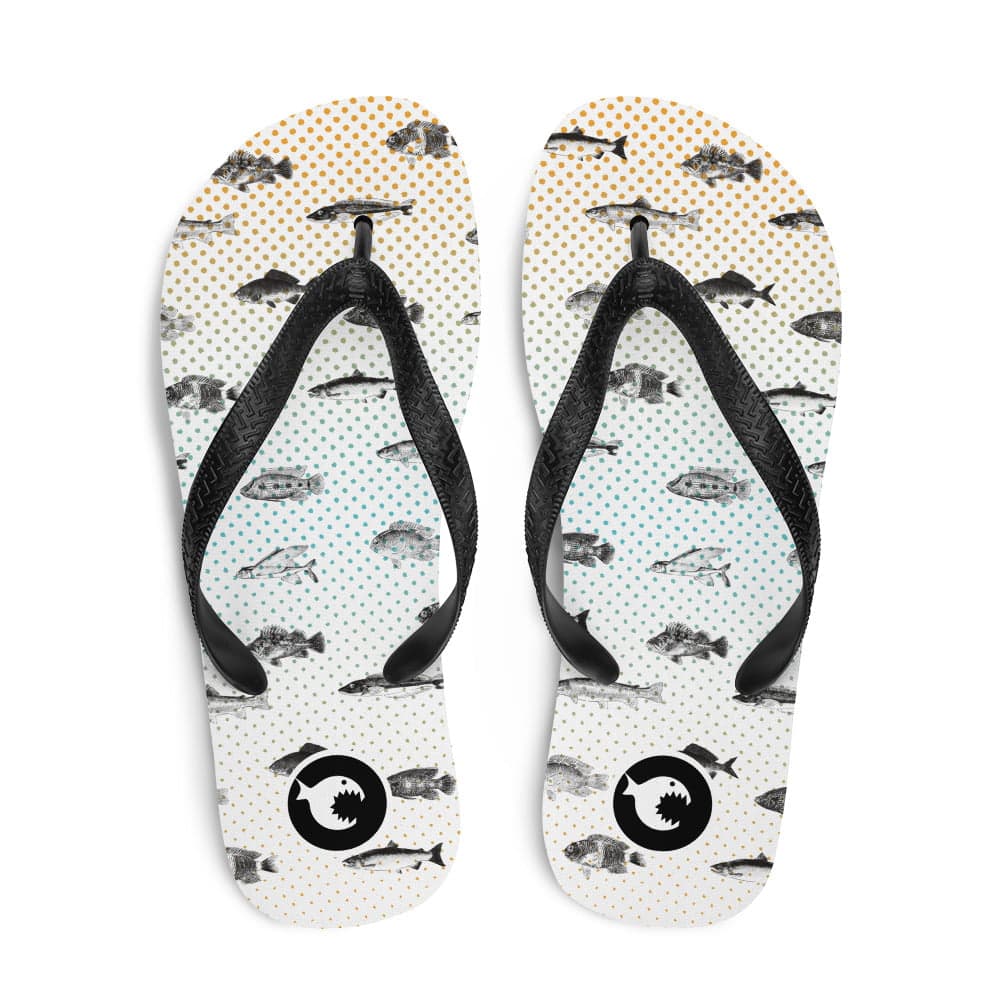 Flip-Flops | Fishes