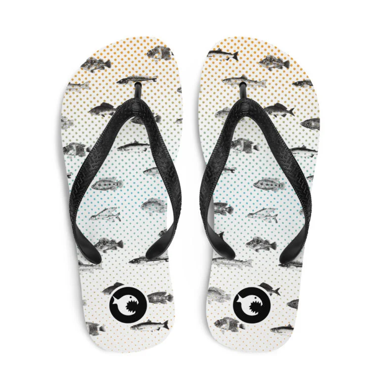 Flip-Flops | Fishes